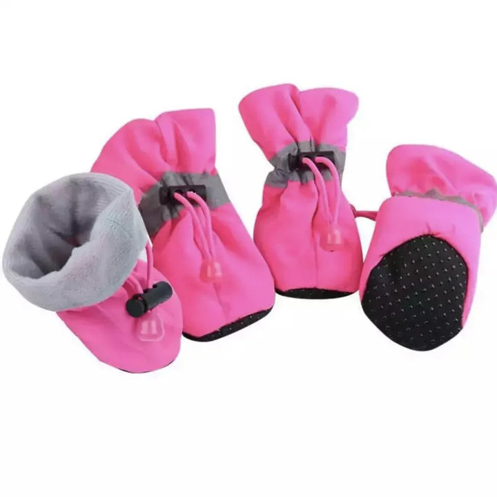 Winter Paw Protection – Paw Walks Luvikno