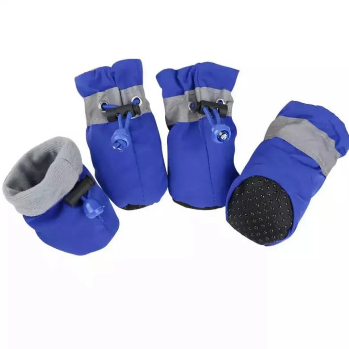 Winter Paw Protection – Paw Walks Luvikno