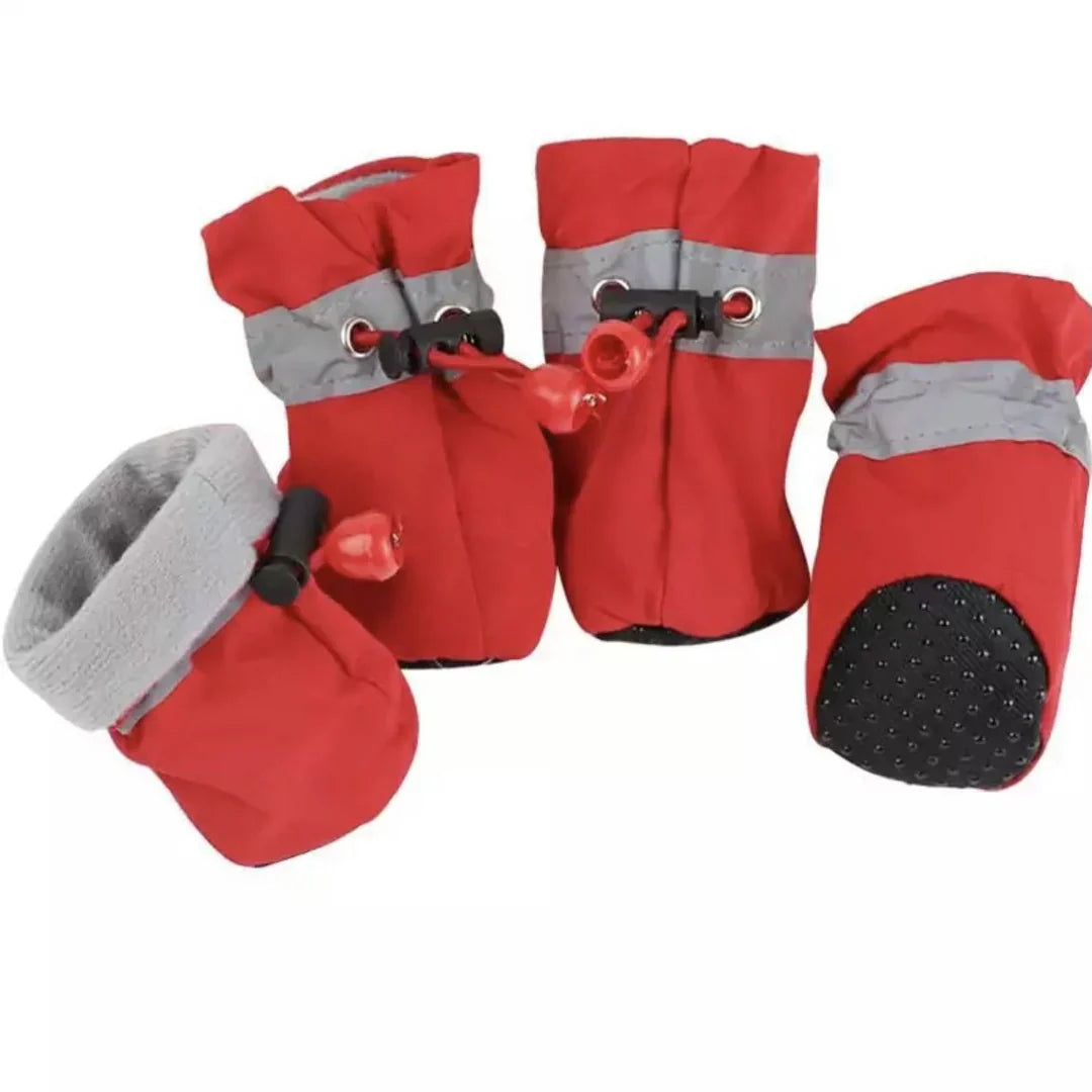 Winter Paw Protection – Paw Walks Luvikno