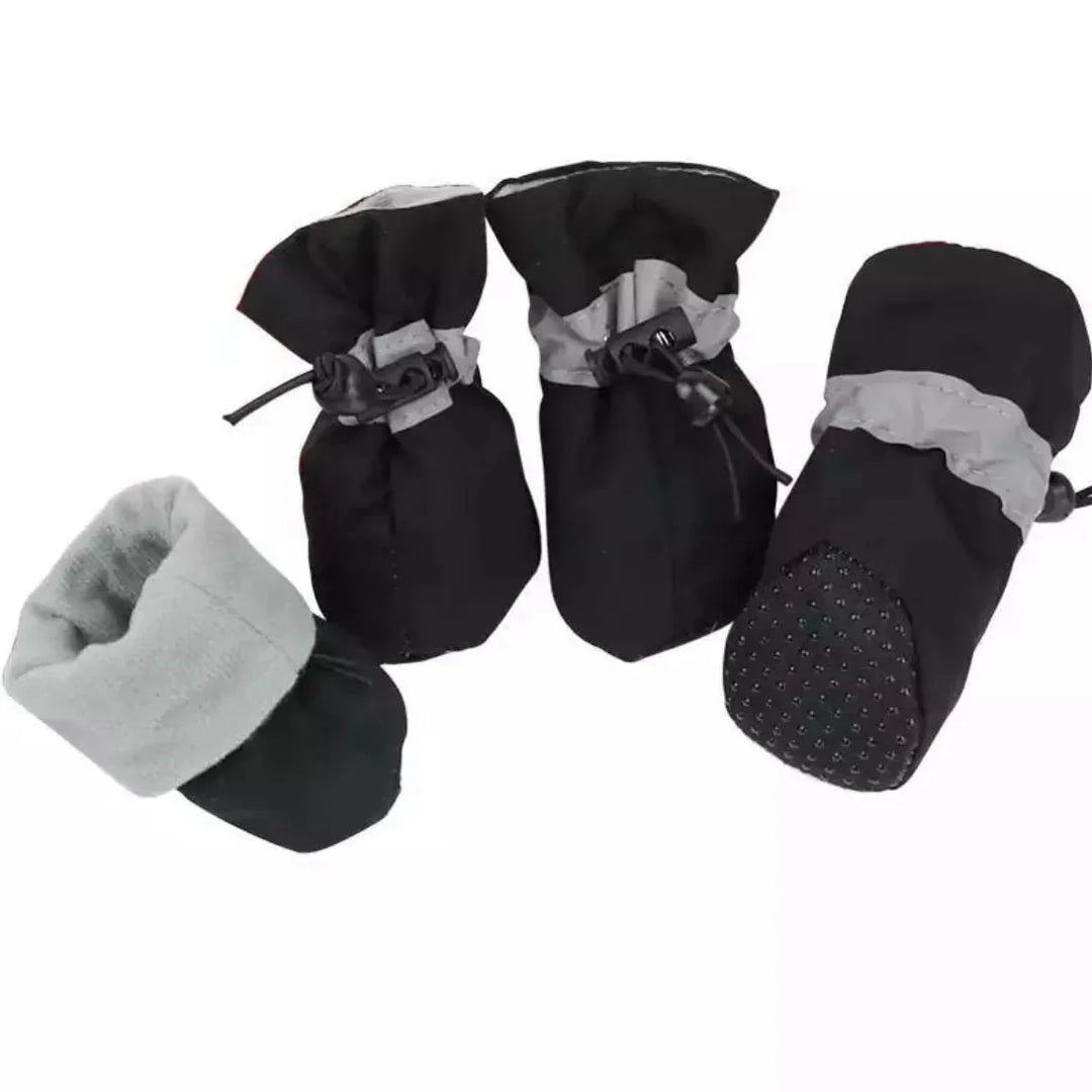 Winter Paw Protection – Paw Walks Luvikno