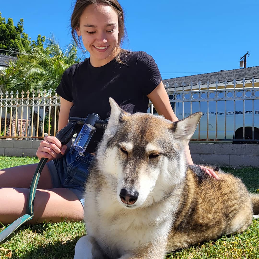 Hund Dusj Sprayer - WashBuddy Luvikno