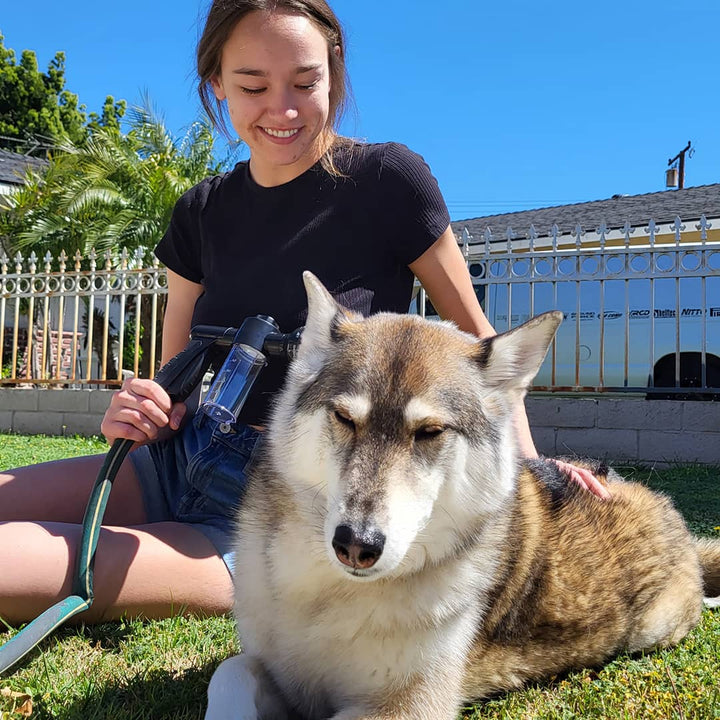 Hund Dusj Sprayer - WashBuddy Luvikno
