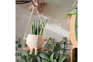 GreenOasis - Elegant Henge Plantekurv for en Ro Atmosfære Luvikno
