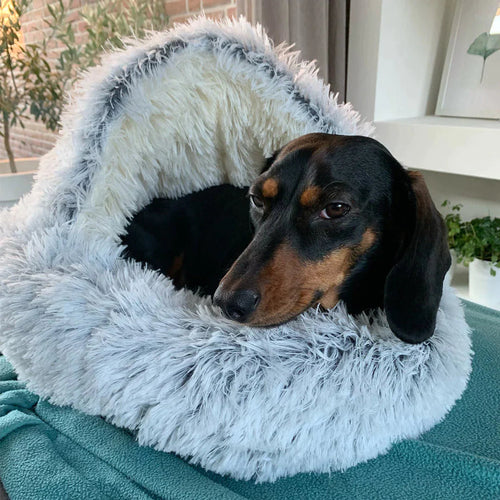 Luvikno | FurHaven - Hunden min elsker det