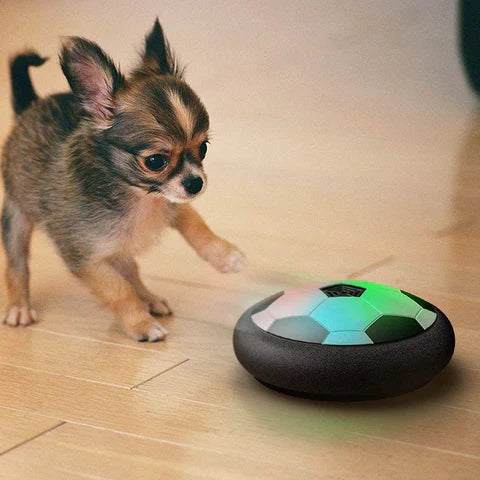 Interaktiv Hund Fotballleke - PlayBall Pro Luvikno