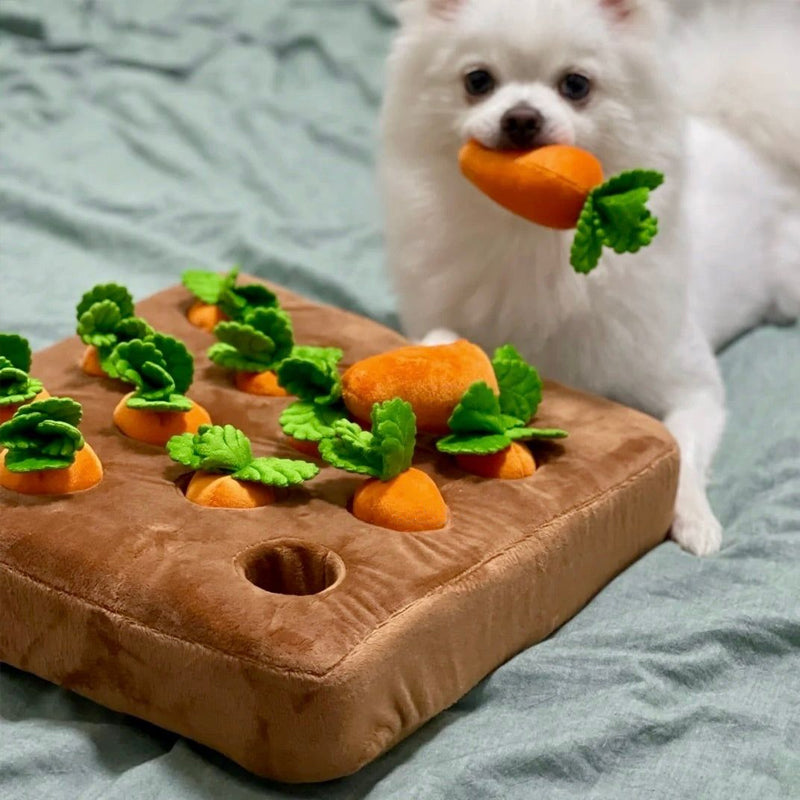 Interaktiv Snuffle Toy - Sniffer's Gulrot Hagebolle