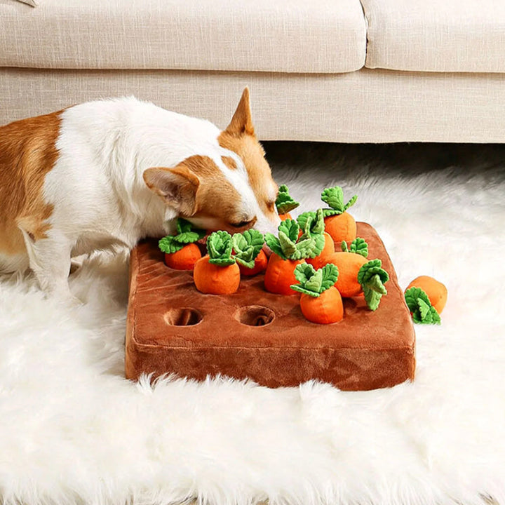 Interaktiv Snuffle Toy - Sniffer's Gulrot Hagebolle