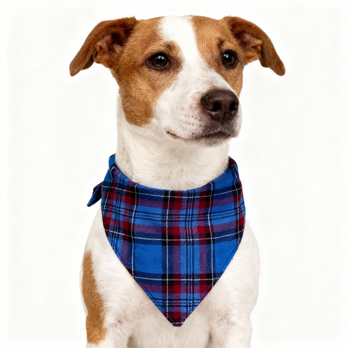 Luvik | Loma Perhe Sininen Ruudullinen Joulupyjama Setti