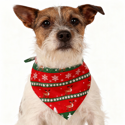 Luvik | Lomaperheen nappikauluspaita jouluyöasu