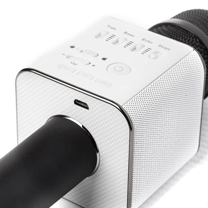 Karaoke Mikrofonn Bluetooth med Høyttaler | Luvikno