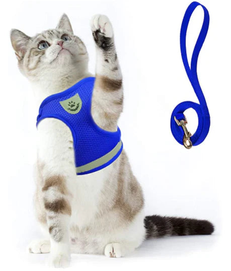 Explorer Harness med Leash Luvikno