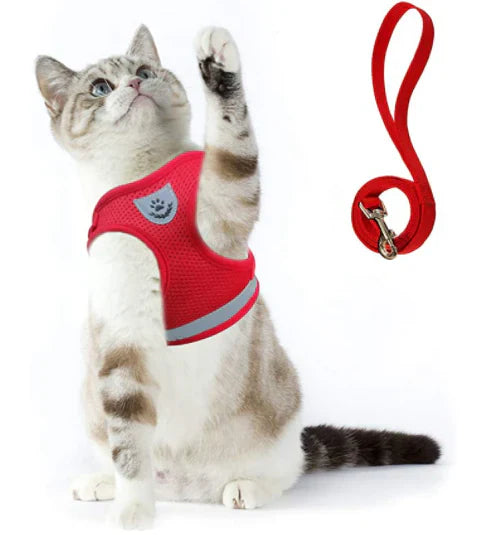 Explorer Harness med Leash Luvikno