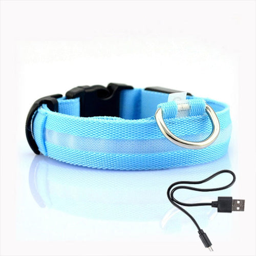 LED hundehalsbånd - GlowCollar Luvikno