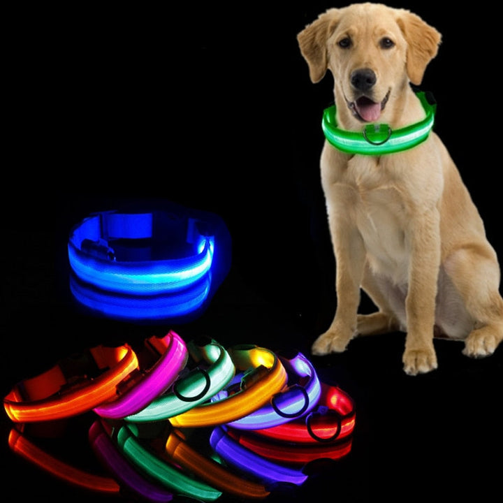 LED hundehalsbånd - GlowCollar Luvikno