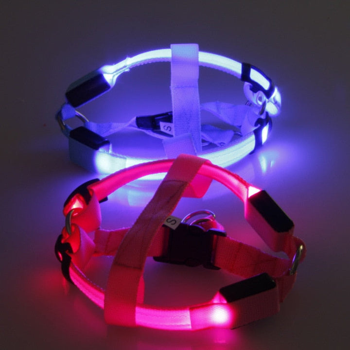 LED Hund Sele - Glow&Go Luvikno
