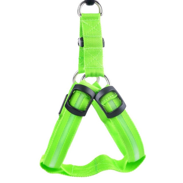 LED Hund Sele - Glow&Go Luvikno