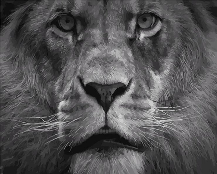 King of the Jungle - Van-Go Mal etter tall Kit | Luvikno