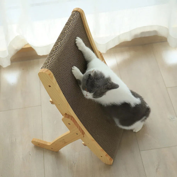 Luna Katt Klore Seng Luvikno