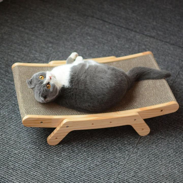 Luna Katt Klore Seng Luvikno