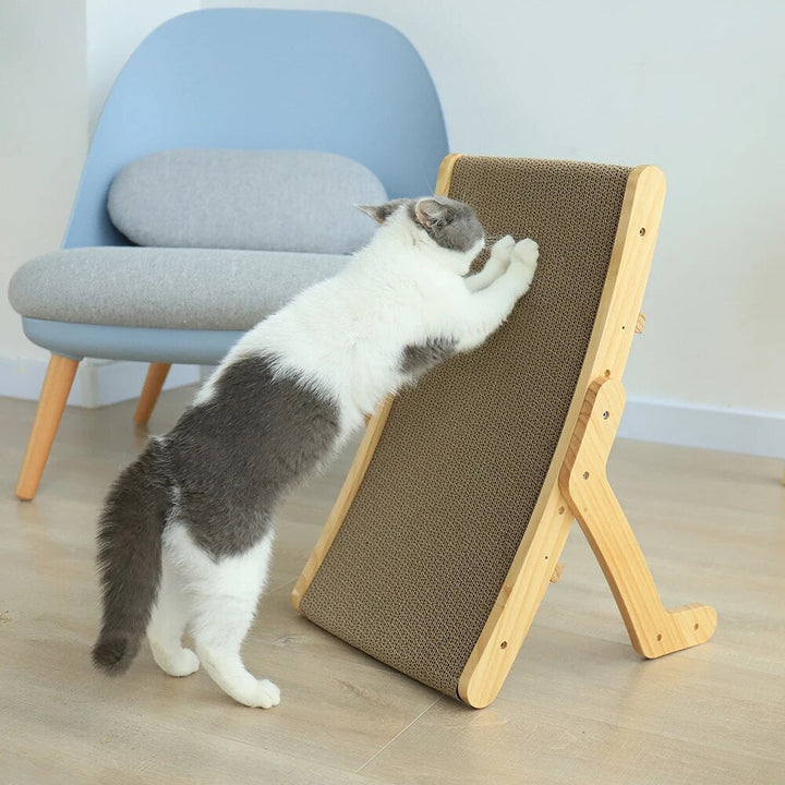 Luna Katt Klore Seng Luvikno