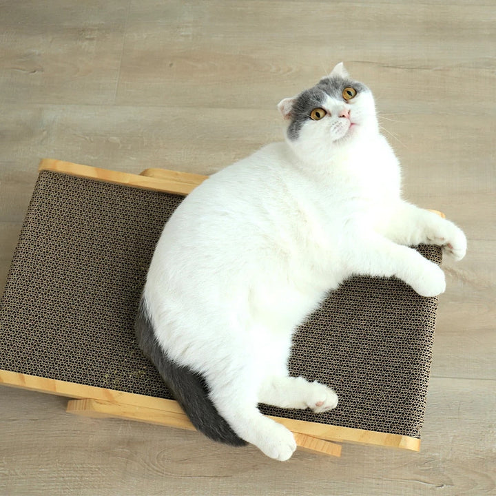 Luna Katt Klore Seng Luvikno