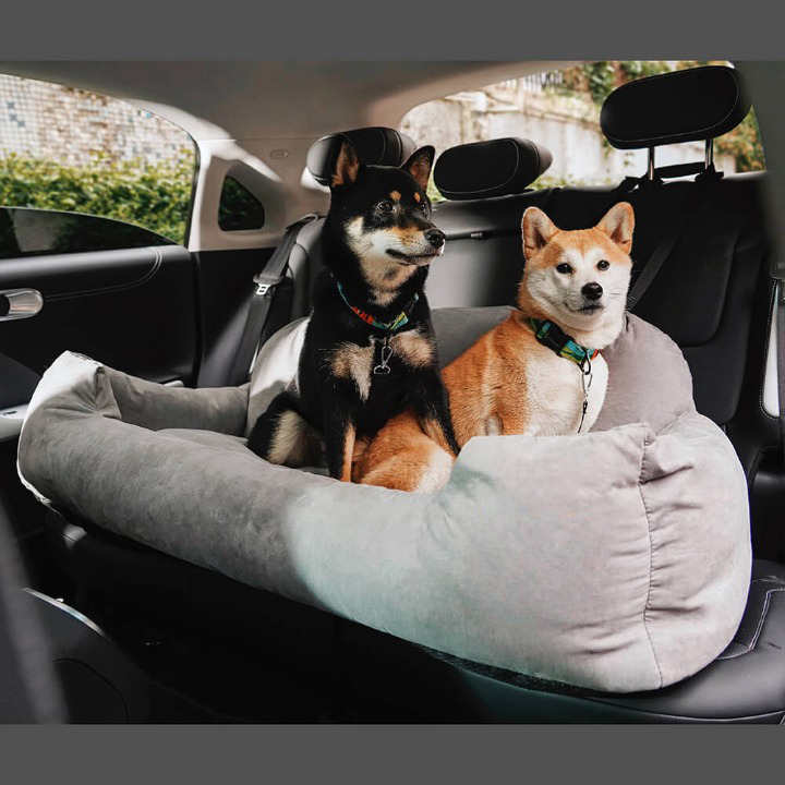 Luksus Reisekøye for Hunder - PawsRest Luvikno