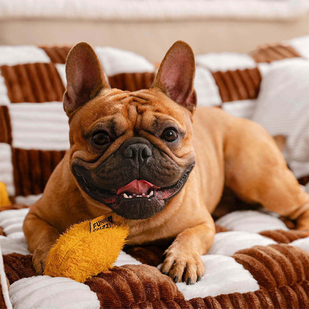 Luksuriøs Hundeseng Sofa - King's Chillout Sofa Luvikno