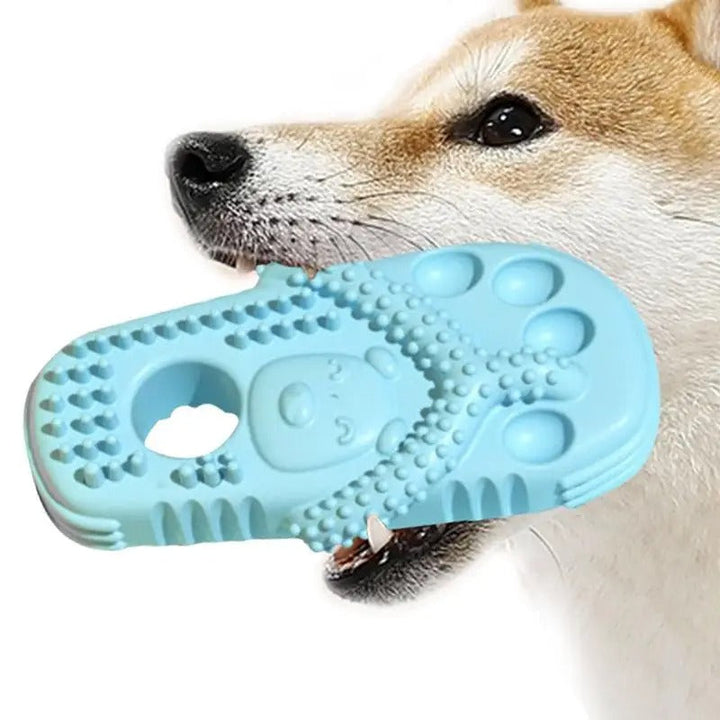Chew Slippers for Dogs – FunPaws Luvikno