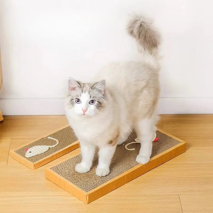 Katt Papp Matte Skraper Luvikno
