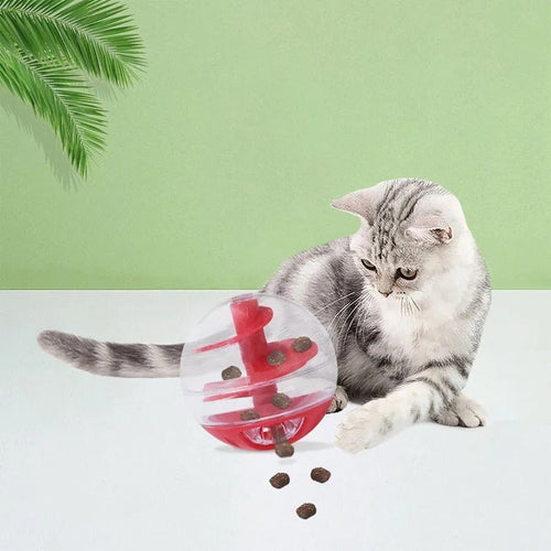 Cat Lick Eating Spiral Ball Luvikno