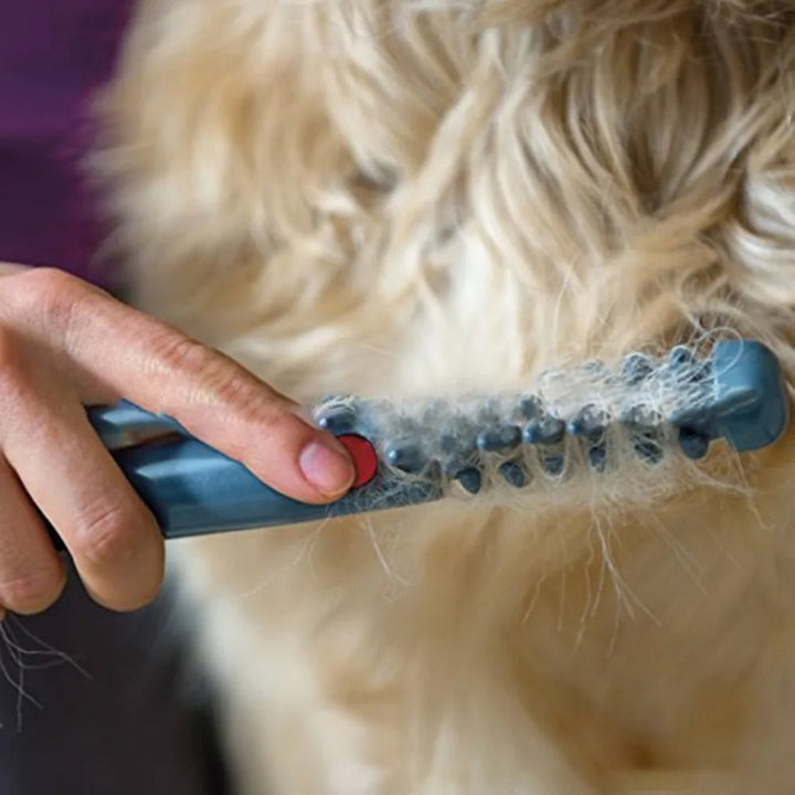 Electric Trimmer for Dogs and Cats – FellMeister Luvikno