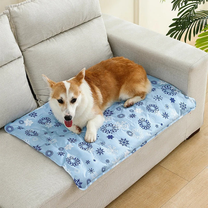 Hund Kjølematte Luvikno
