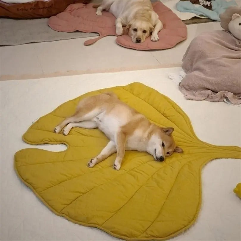 Chill Paw Mat Luvikno