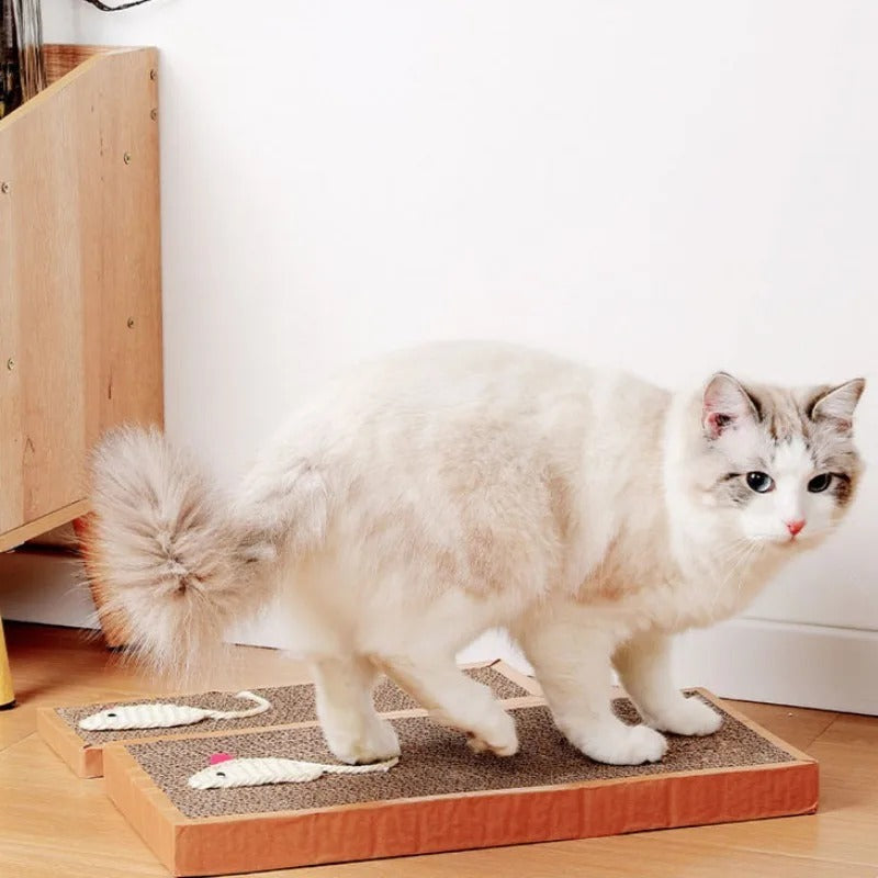 Katt Papp Matte Skraper Luvikno