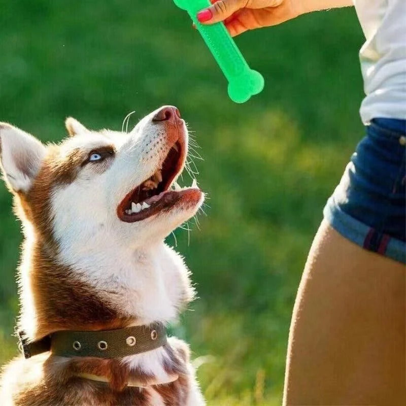 Gummi Bein Legetøy for Aggressive Tygger Luvikno
