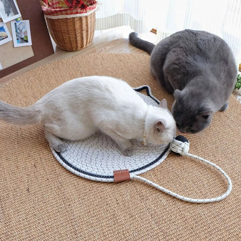 Katt Kloreleketøy Teppet Luvikno