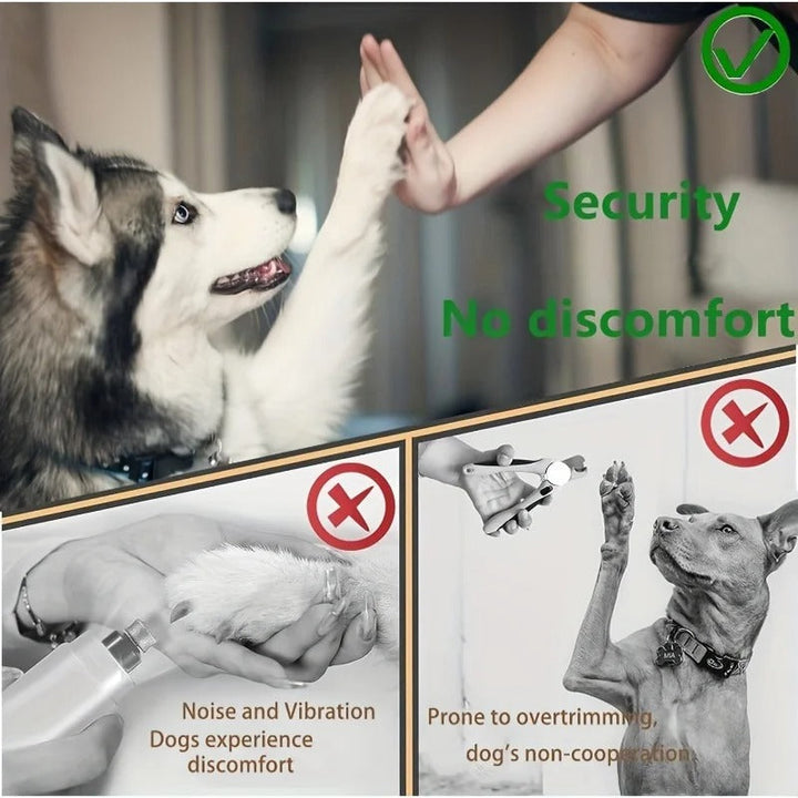 Paw Perfect Scratch & Groom Luvikno