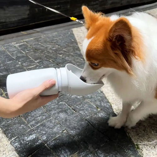 FoldSip Pet Cup Luvikno