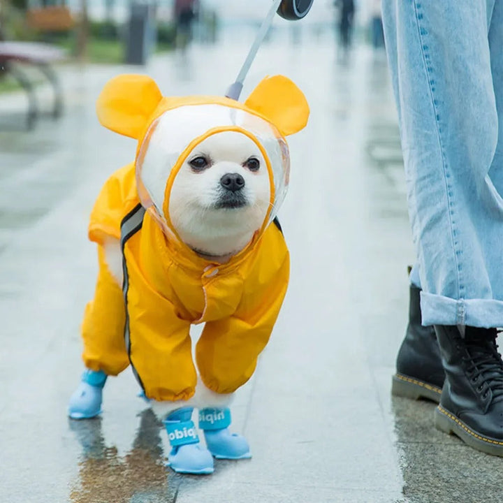Sjarmerende Bamse-tema Helkropp Hunderegntrekk med Reflekterende Sikkerhetsfunksjoner Luvikno