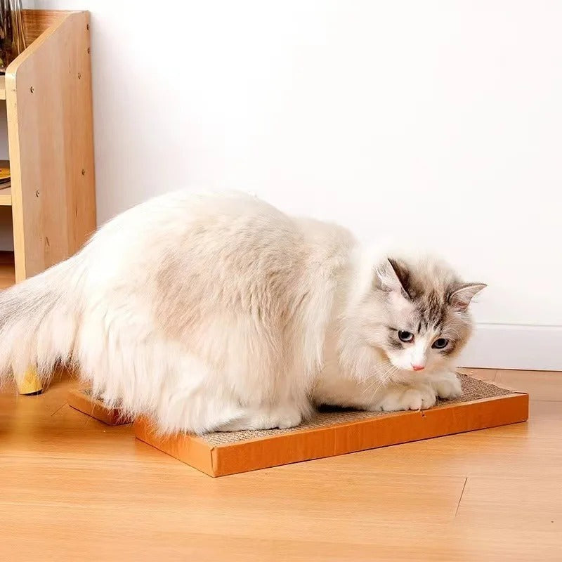 Katt Papp Matte Skraper Luvikno