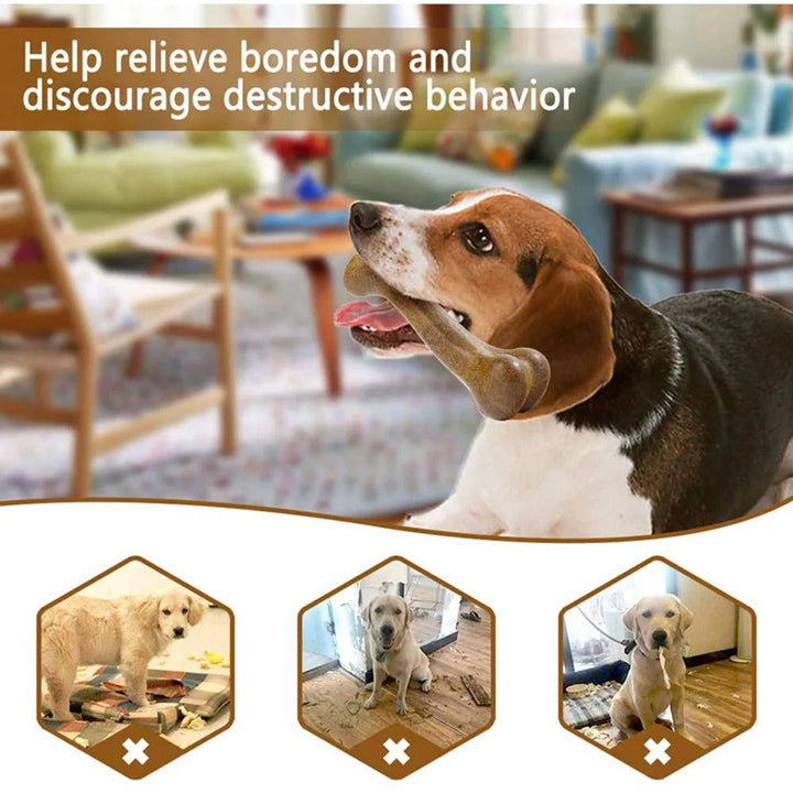 ChewBone – Det trygge og holdbare tyggeleken for glade hunder! Luvikno