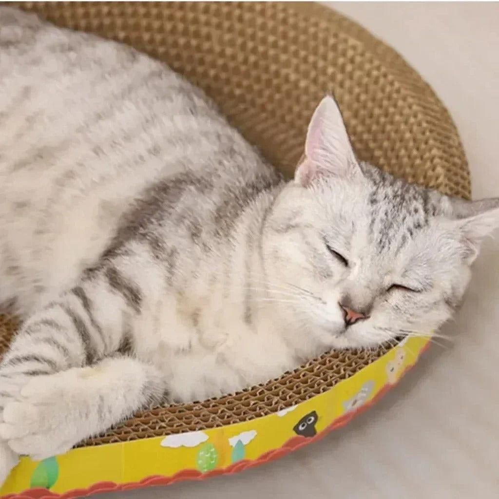 Holdbar Oval Katt Nest Bollift