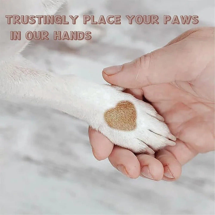 Paw Perfect Scratch & Groom Luvikno