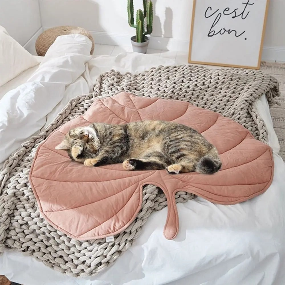 Chill Paw Mat Luvikno