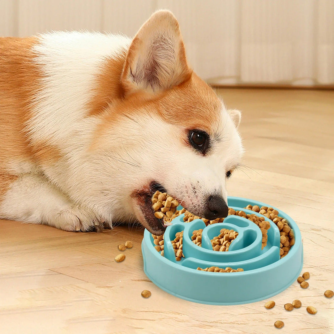 Slow Feed Pet Bowl Luvikno