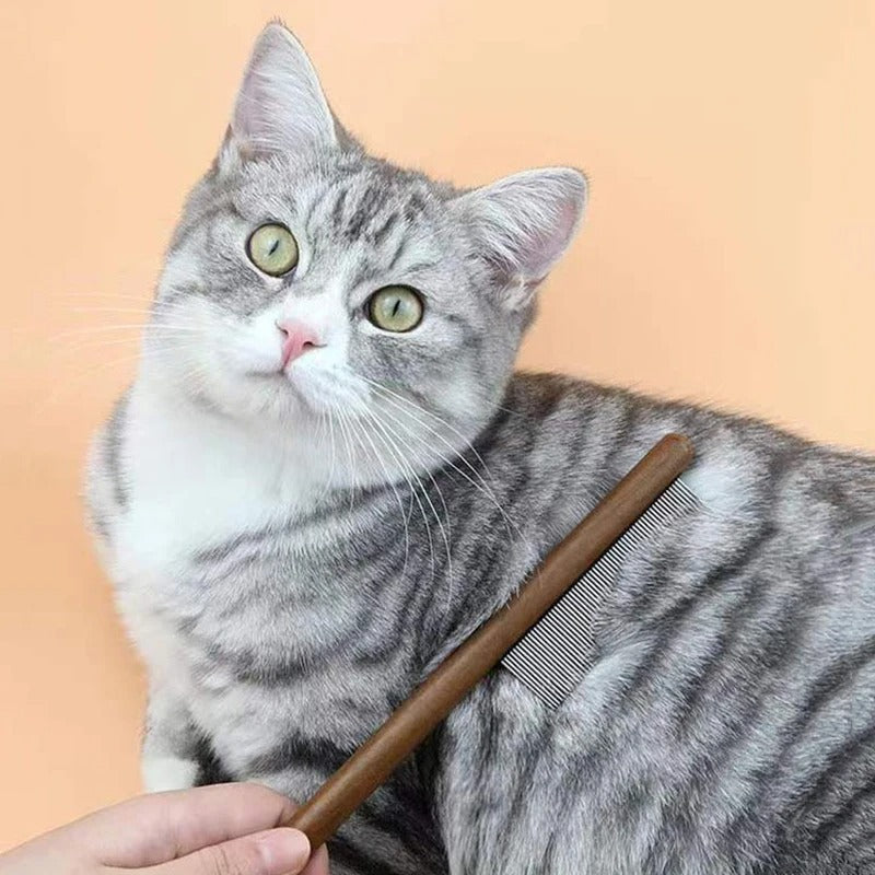 Premium Katt Kam: Rustfritt Stål Stell for en Sunn Pels Luvikno