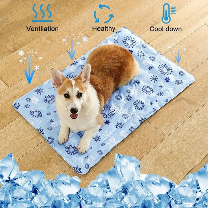Hund Kjølematte Luvikno