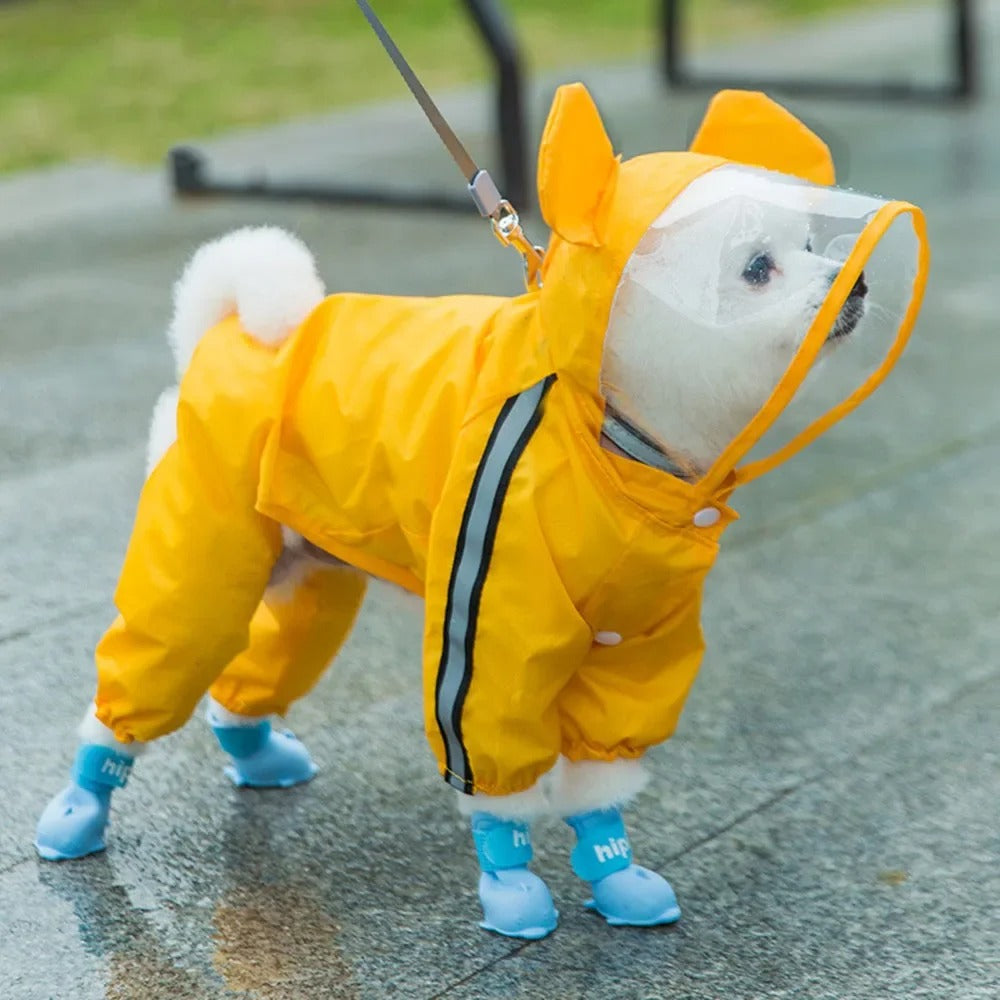 Sjarmerende Bamse-tema Helkropp Hunderegntrekk med Reflekterende Sikkerhetsfunksjoner Luvikno