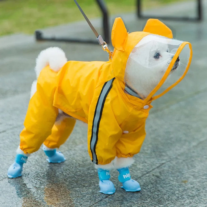 Sjarmerende Bamse-tema Helkropp Hunderegntrekk med Reflekterende Sikkerhetsfunksjoner Luvikno
