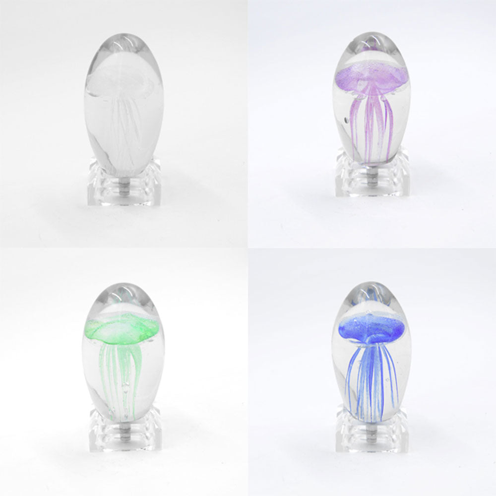 Fargeendrene Maneter Nattlampe | Luvikno